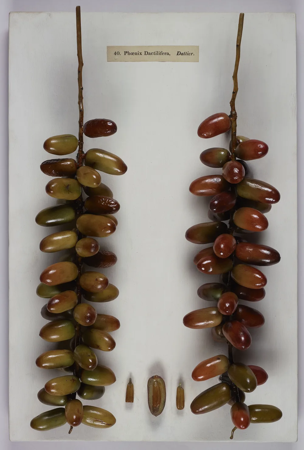 Dates in Kota Tangerang: Shops, Wholesale & Delivery to Cipondoh, Karawaci, Ciledug