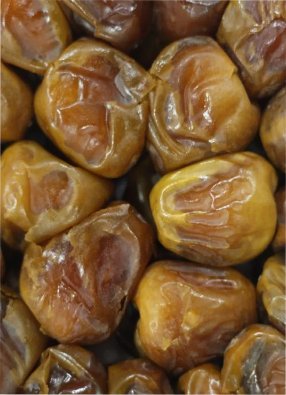 Kurma Sukari Al Qassim Premium